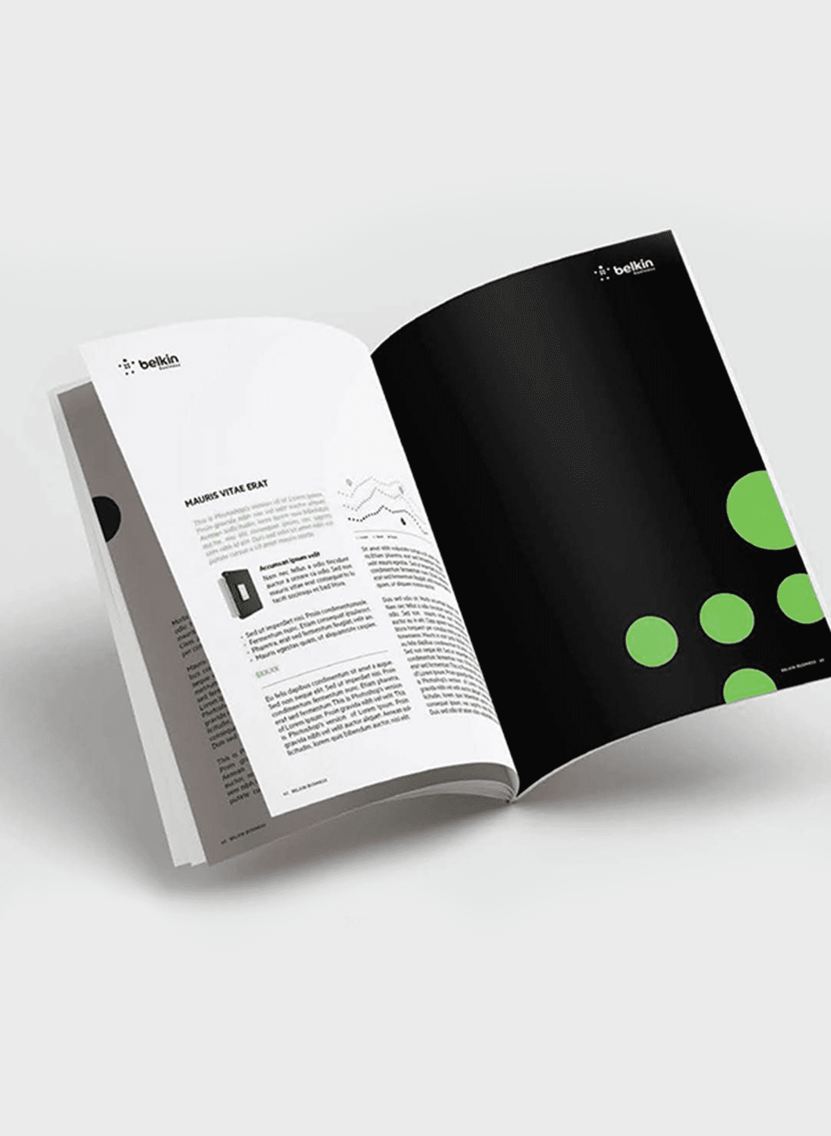 Belkin book