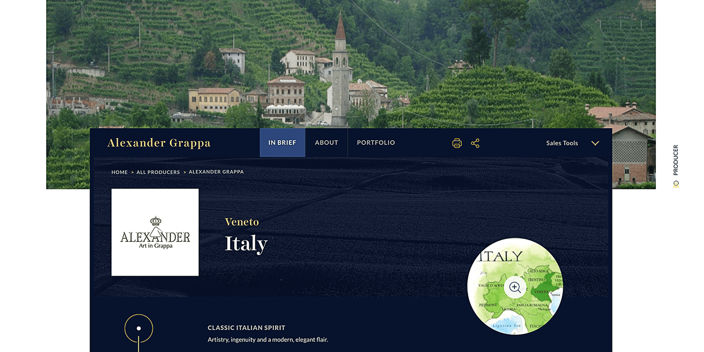 PalmBay website design example