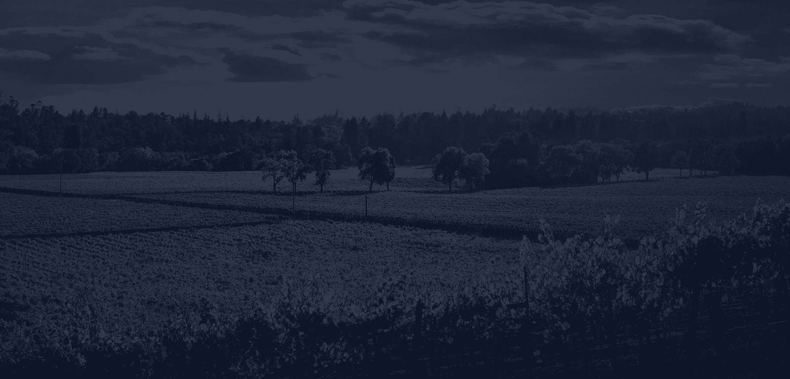 Landscape with a dark blue overlay
