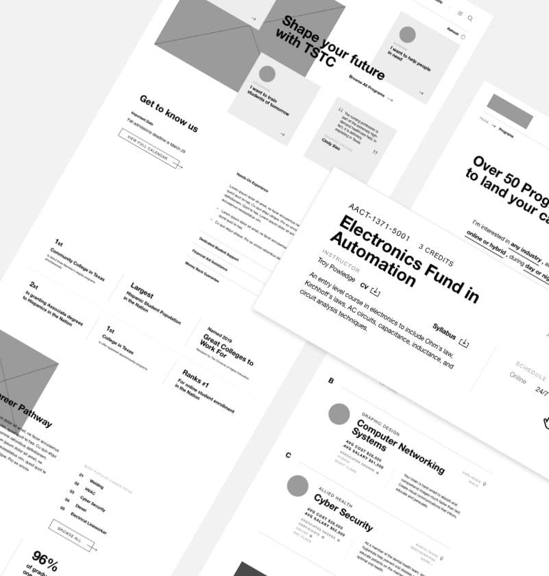 TSTC Larger Wireframe