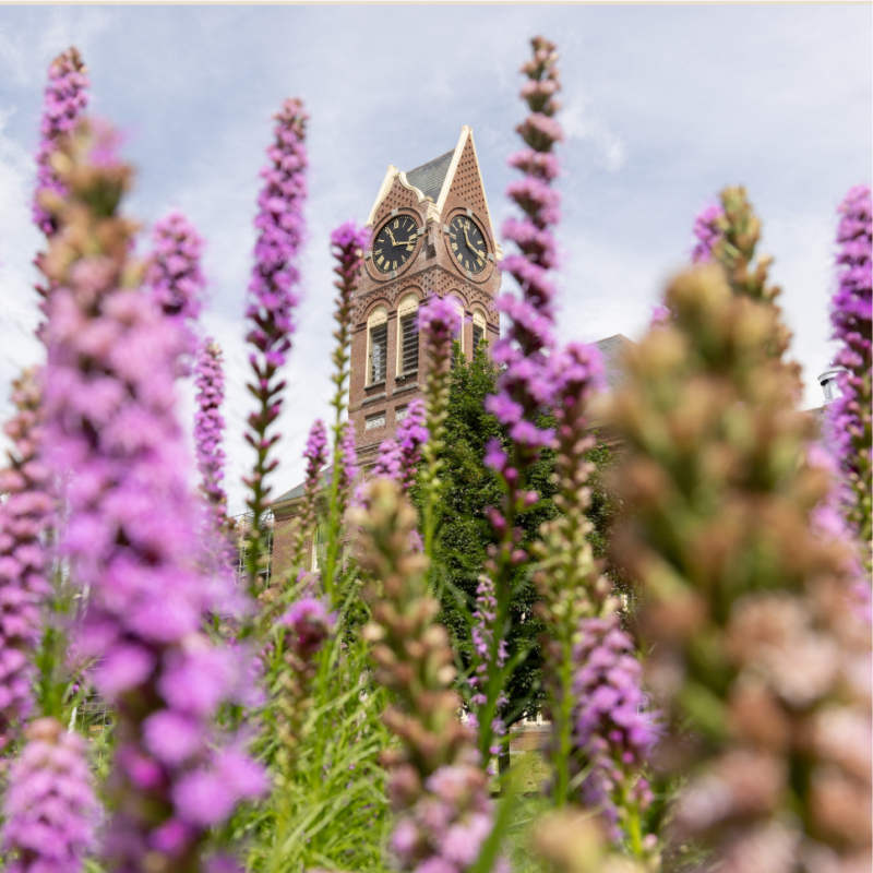 Tilton school building with flowers