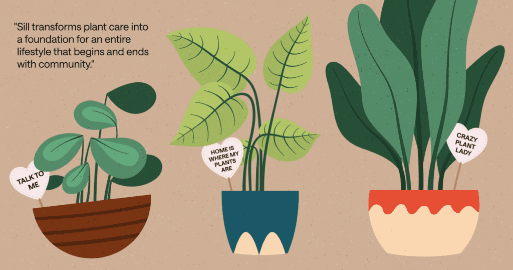 three potted plants with small signs in the pots